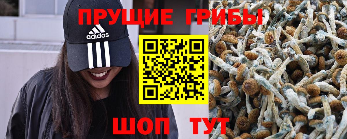 Кувандык  Галлюциногенные грибы мухоморы  Галлюциногенные грибы Magic Shrooms  Вход с VPN 